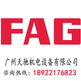 FAG 2207K.2RS.TV.C3+H307 调心球轴承
